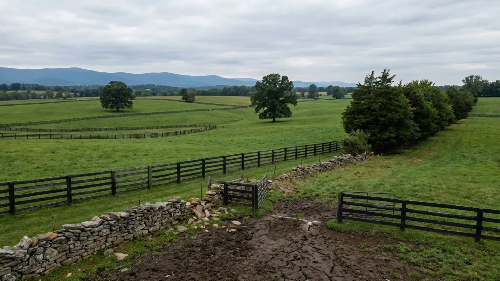 Rolling Northern Virginia horse-country pasture with black board fencing, specimen oaks and a fieldstone wall.
