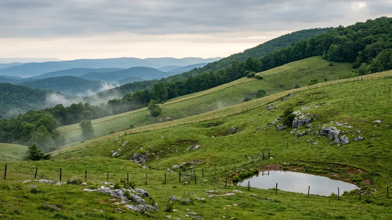 Steep south-west Virginia pasture and hayfields running up to a hardwood ridge with mist in the hollows.